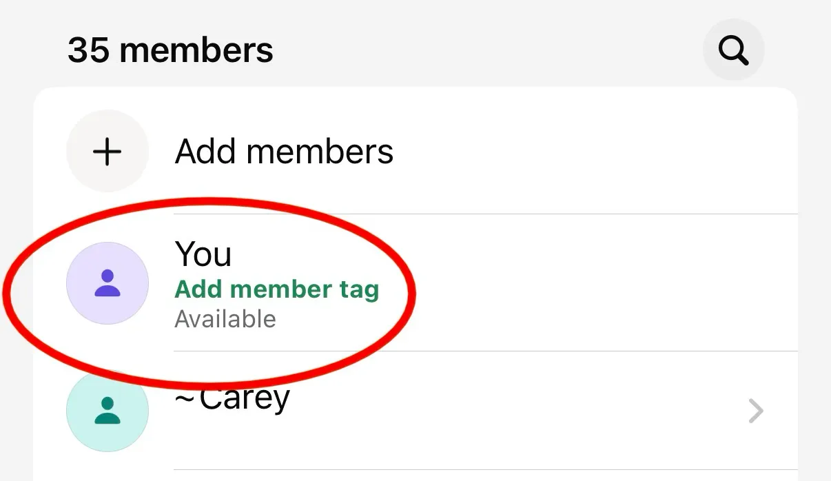 Screenshot of the member list of a WhatsApp chat, with one user circled in red. One of the actions on the circled member is "Add member tag".