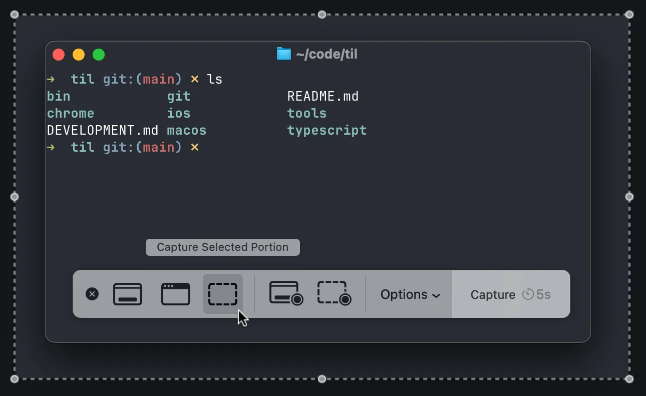 Screenshot of screenshot controls palette with the cursor hovering over "Capture Selection Portion"