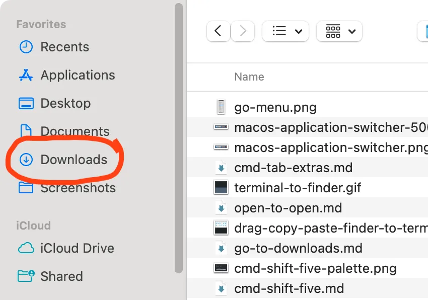 Screenshot of macOS open/save dialog box with “Downloads” in the sidebar, circled in red