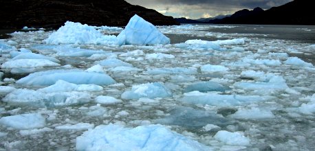 Icebergs floating in Lago Grey